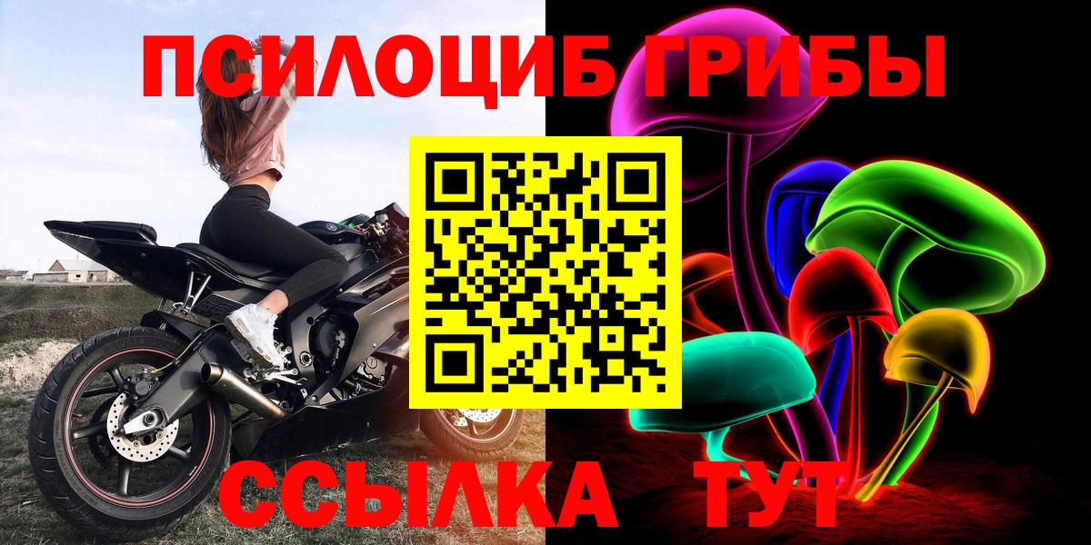 Галлюциногенные грибы Psilocybe  Вход с VPN  Псилоцибиновые грибы мухоморы  Качканар 
